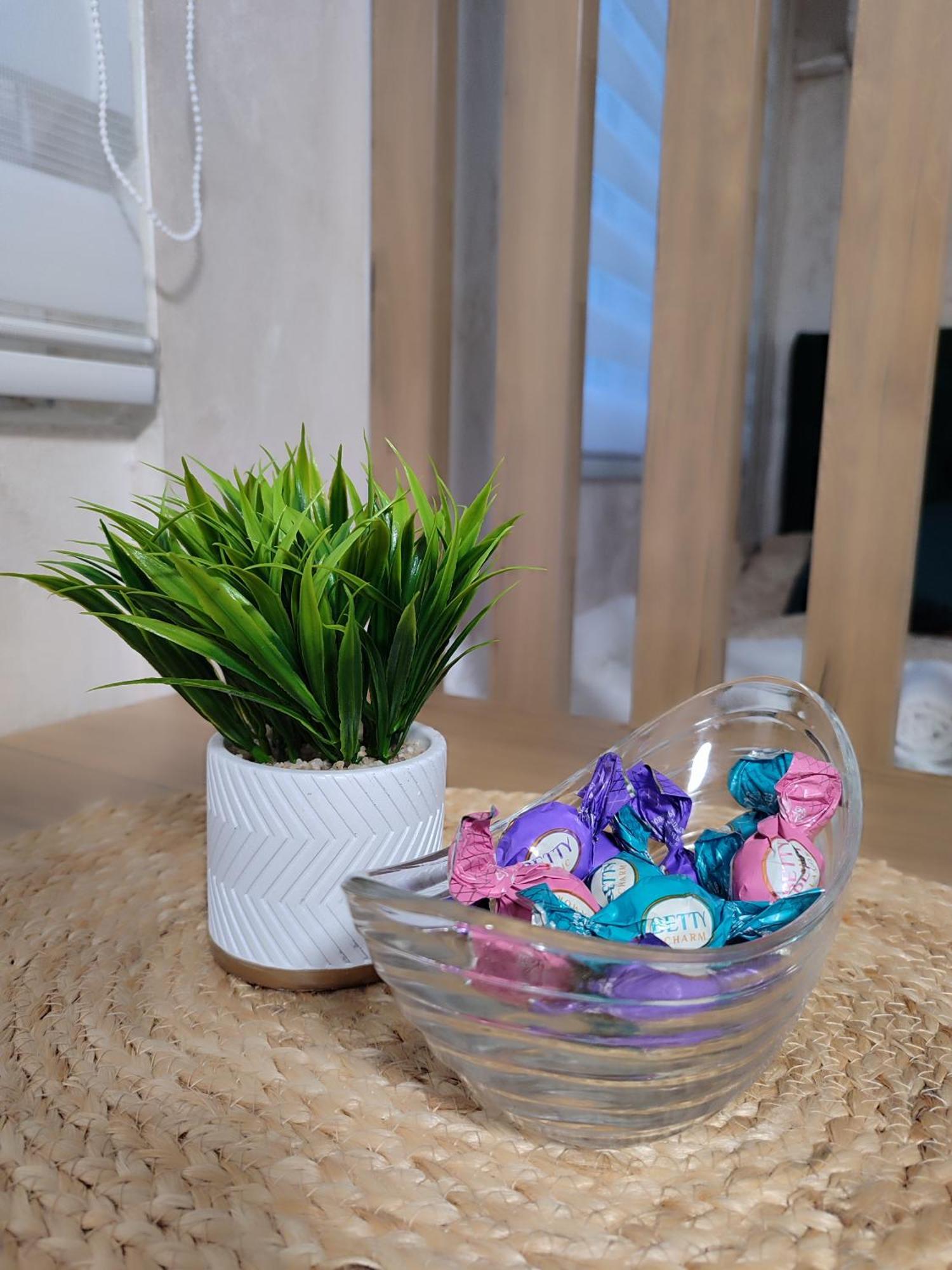 Studio Apartman Free Parking Rubikon Белград Номер фото